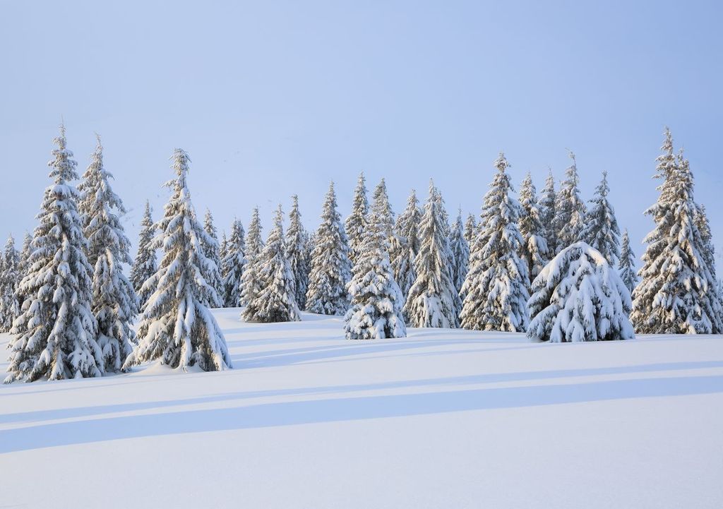 Vortice polare. Vortice polare.