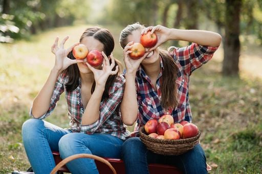 Cosa succede al corpo quando mangiamo mele? La nuova frontiera dei polifenoli