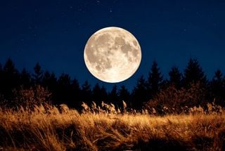 Cosa succede al nostro corpo durante il plenilunio? Disturbi del sonno e altri effetti che potresti avvertire