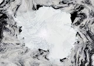 Gli scienziati hanno scoperto che 2000 km della costa antartica sono stati ricoperti da ghiaccio stabile per 85 anni!