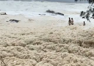 Costa leste da Austrália é tomada por espuma do mar