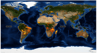 Cotas récord de la intensidad de los incendios forestales en 2020