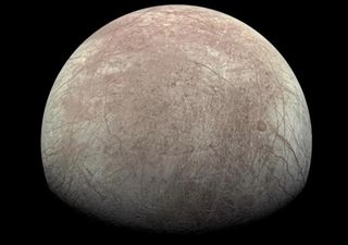 Could moons Europa and Enceladus support life within their hidden oceans?