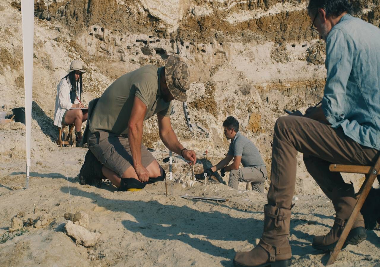 Reconstrução de um crânio do nosso primeiro parente, um grande símio de 12 milhões de anos encontrado na Catalunha.
