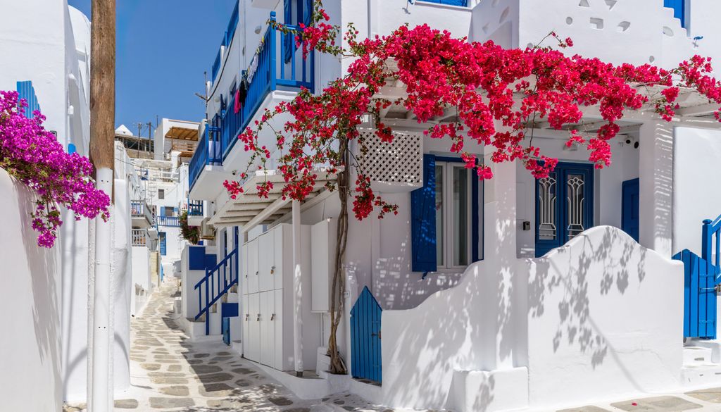 La buganvilla es una opción infalible si se quiere convertir una fachada en una explosión de color.