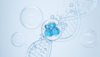 &iquest;Crearon vida desde cero? Una c&eacute;lula sint&eacute;tica reabre el gran debate cient&iacute;fico