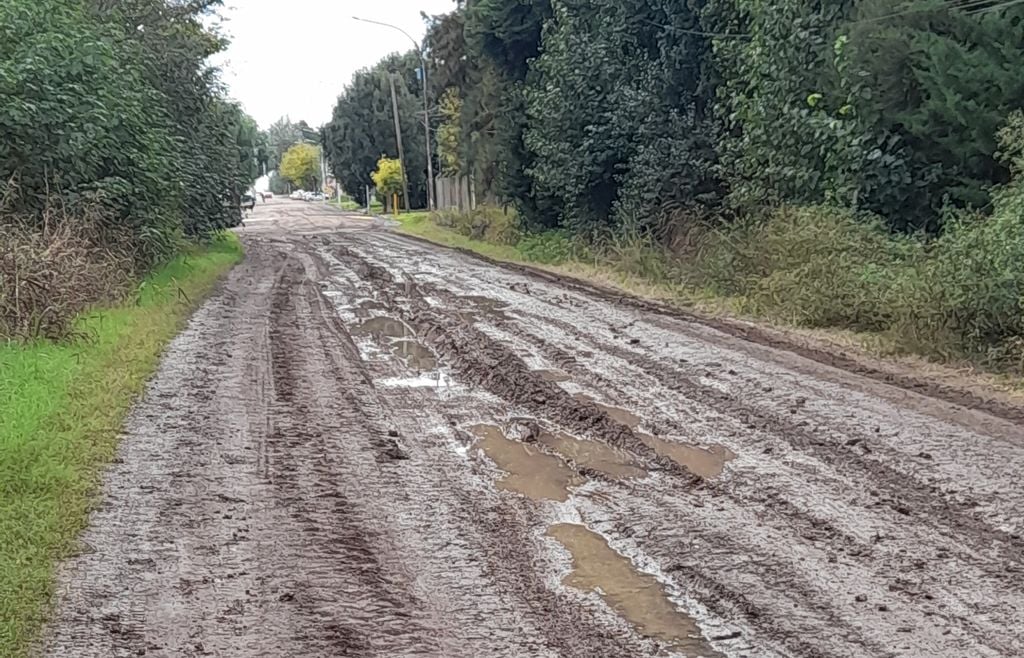 Las lluvias persistentes deterioraron numerosos caminos rurales de Misiones, donde el barro y los anegamientos dificultan el tránsito de vehículos y maquinaria.