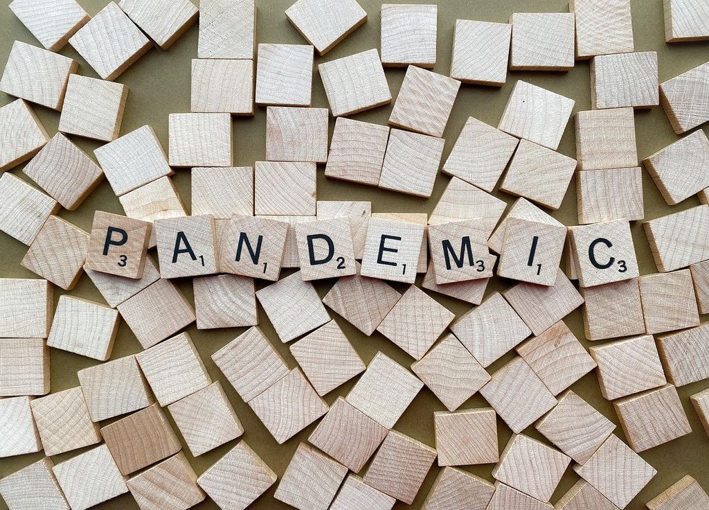 L'idée : éviter une nouvelle pandémie L'idée : éviter une nouvelle pandémie