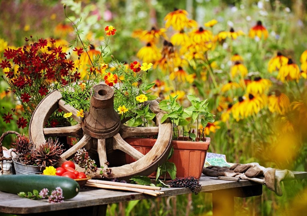 Gartenarbeit, Temperaturen, Sonnenschein