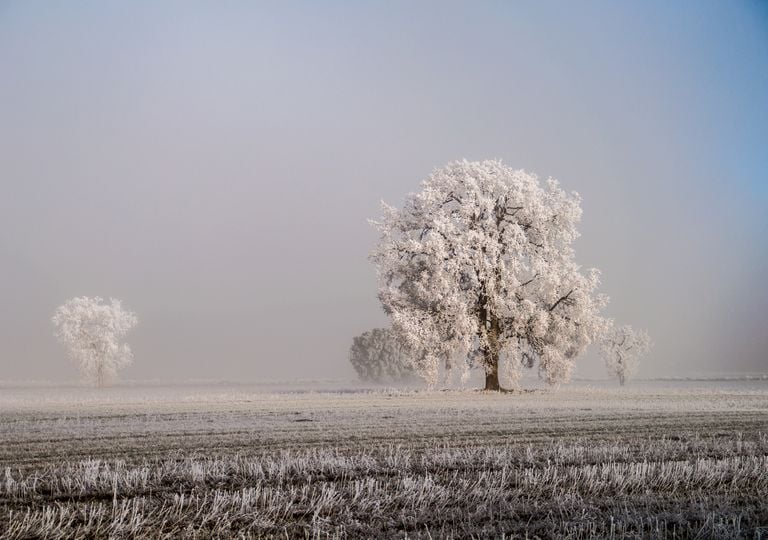 Cresta atl&aacute;ntica o 'Atlantic Ridge': un cambio de patr&oacute;n meteorol&oacute;gico podr&iacute;a llegar a Espa&ntilde;a en A&ntilde;o Nuevo