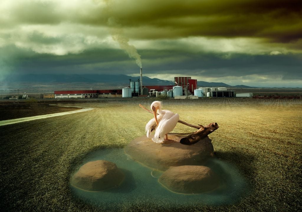 La ONU señala que este recurso se ha "estirado" hasta romper su ciclo natural, convirtiendo la escasez en una condición crónica y estructural en lugar de un evento meteorológico pasajero.