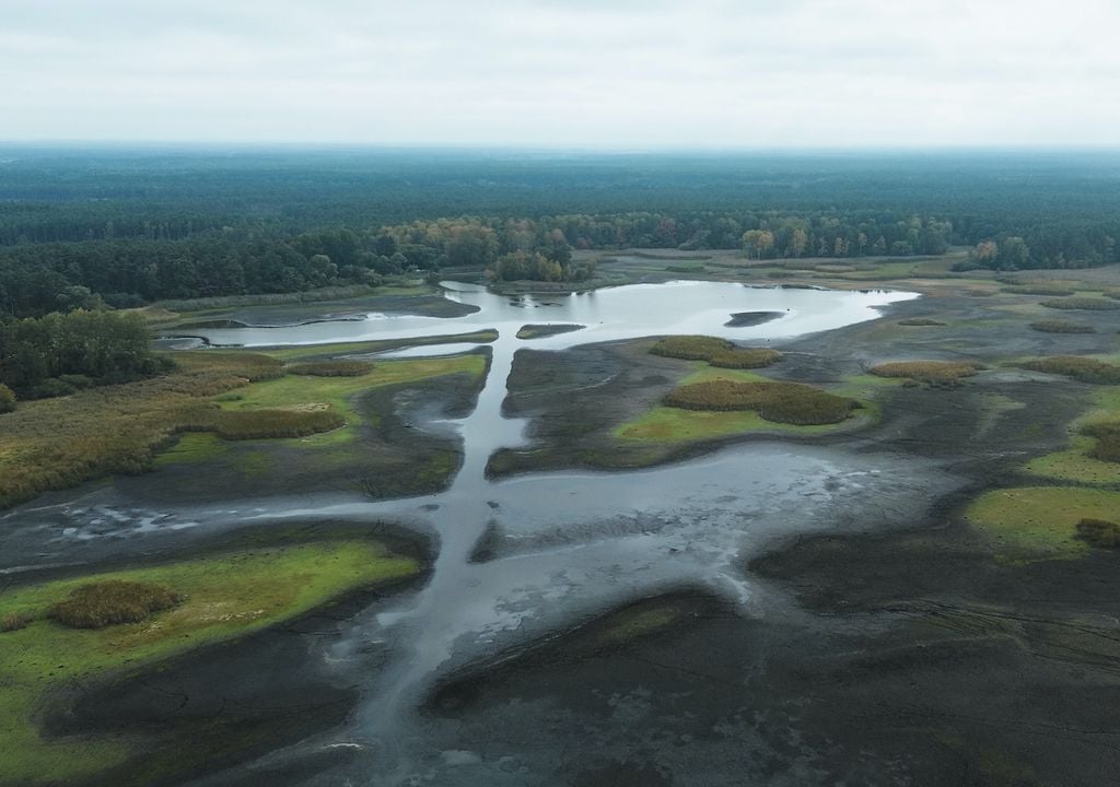 El agua debe pasar de ser un motor de conflicto a ser una herramienta de cooperación y paz mundial.