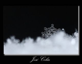 Cristales de nieve