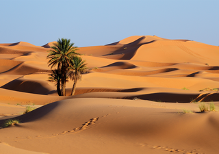 ¿Cuál es el desierto más grande del mundo? Alerta 'spoiler': no es el Sahara