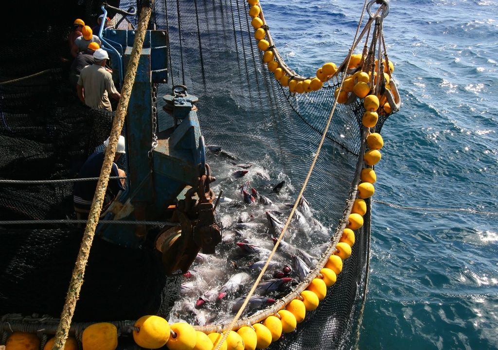 embarcación pesquera extrayendo atún