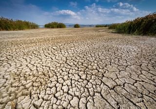 ¿Cuáles son las alcaldías de la CDMX que podrían quedarse sin agua próximamente?