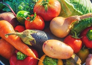 ¿Cuáles son las diferencias entre verduras y hortalizas?