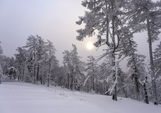 ¿Cuándo comienza el invierno en Chile?