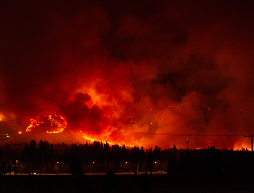 Fiebre global e incendios extremos: expertos evaluaron el papel del cambio clim&aacute;tico en los incendios de la Patagonia