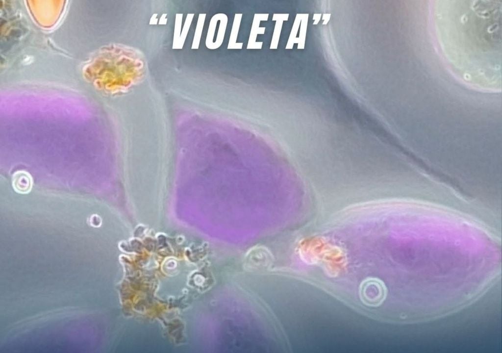 Ganadora del segundo lugar Ganadora del segundo lugar