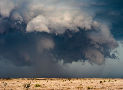 Tornados y gustnados: por qu&eacute; se forman durante las tormentas y c&oacute;mo distinguir estos peligrosos fen&oacute;menos