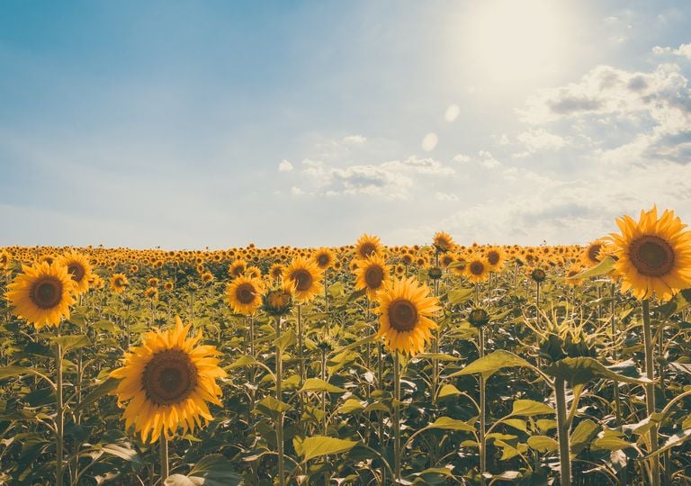 Cuándo empieza el verano 2025: día y hora del solsticio