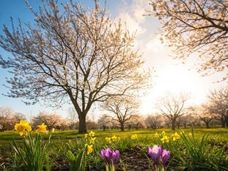 ¿Cuándo empieza la primavera astronómica en México? Fecha y hora en 2025