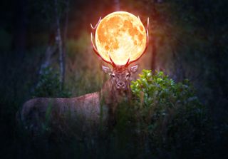 ¿Cuándo es la luna llena de julio? La brillante luna de ciervo que iluminará el cielo este mes