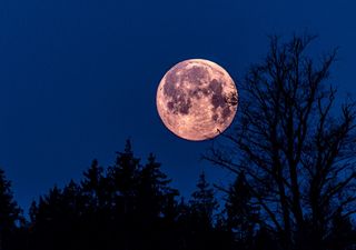 La 'Luna Rosa' está cerca: ¿cuándo se verá y por qué se llama así a la luna llena de abril?