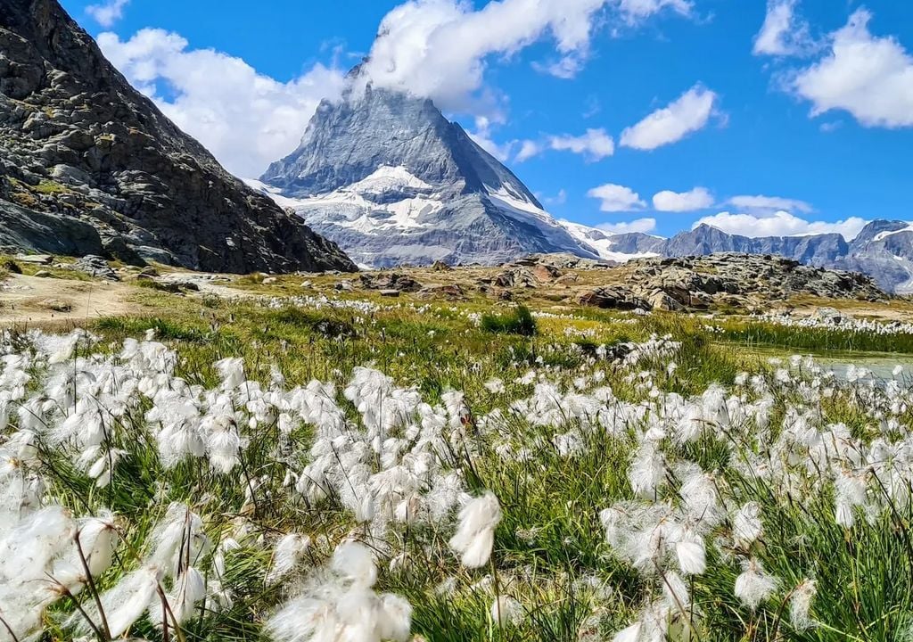 Antartide senza ghiacci