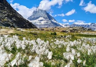 ¿Cuándo fue la última vez que la Antártida estuvo libre de hielo?