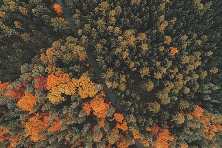 otoño otoño