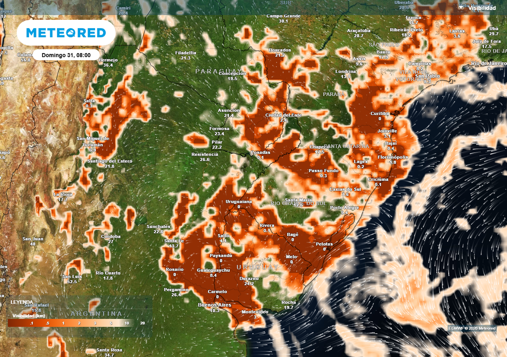 Visibilidad prevista para la mañana del domingo según el modelo ECMWF. Zonas con bancos de niebla que podrían reducir la visibilidad a menos de 1000 m