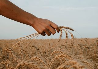 ¿Cuándo llegan las lluvias para cortar con el calor en Argentina?