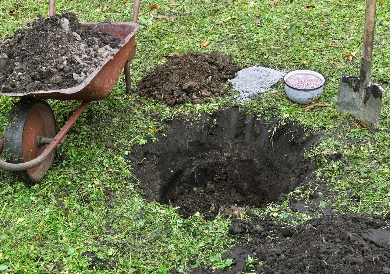 El acondicionamiento del suelo, mediante hoyos amplios, fertilización y aireación, garantiza un arraigo profundo y sienta las bases para un cultivo frutal vigoroso.