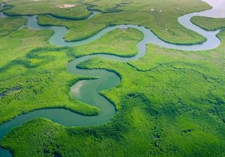 Wie und wann ist der Amazonas entstanden? Einige Geologen aus Brasilien und den Niederlanden haben es herausgefunden