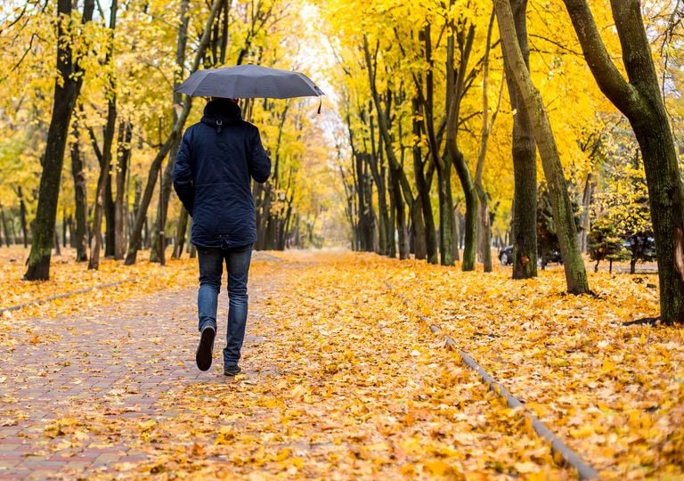 Cu&aacute;ndo se prev&eacute;n lluvias en Espa&ntilde;a: las tendencias previstas por el ECMWF hasta el 12 de octubre