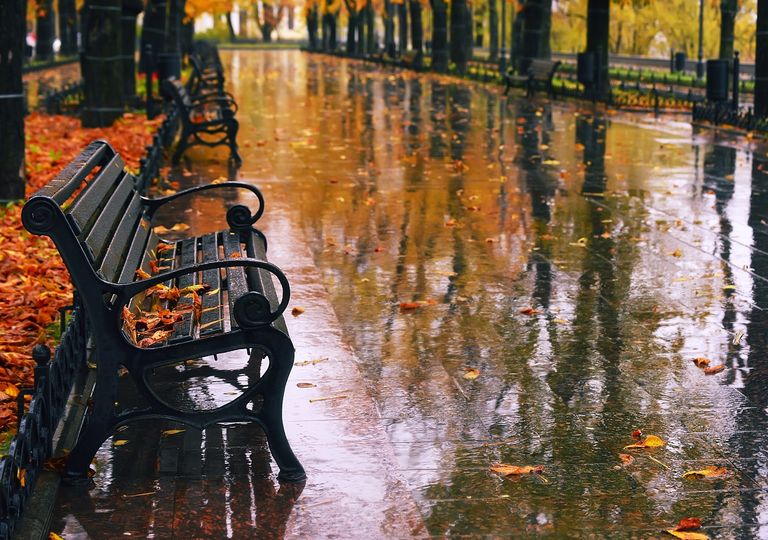 Banco en plaza día de lluvia otoñal Banco en plaza día de lluvia otoñal