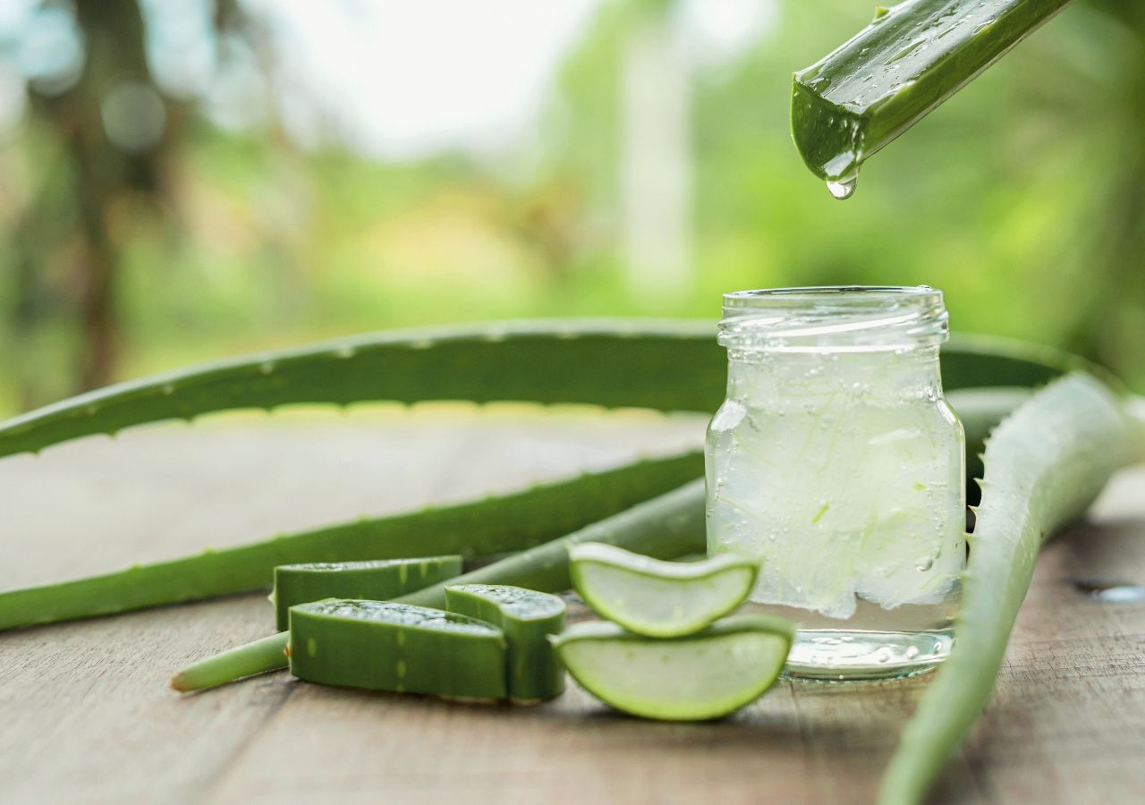 aloe vera pflanze neurodermitis Aloe Vera Seife ca.150g, empfohlen bei Ekzemen, Neurodermitis, Herpes und  Schuppenflechten main image 1