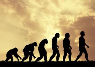 ¿Cuándo y cómo surgió el ser humano? Nuevos datos de la evolución