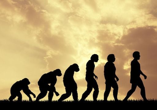 ¿Cuándo y cómo surgió el ser humano? Nuevos datos de la evolución
