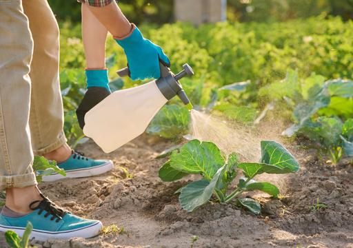 Cuándo y cómo usar jabón potásico en las plantas (y por qué no debes usarlo si va a llover)