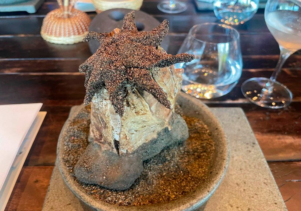 imagen de un plato servido en el Boragó imagen de un plato servido en el Boragó