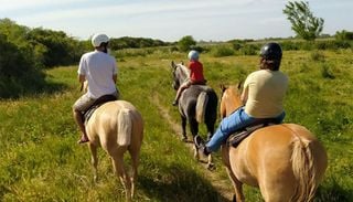 Cu&aacute;nto cuesta y c&oacute;mo llegar a la incre&iacute;ble reserva de 500 hect&aacute;reas a solo 120 km de CABA que ten&eacute;s que visitar