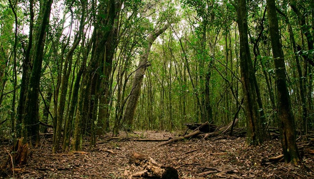 Reserva El Destino La reserva natural posee 500 hectáreas de extensión y se encuentra a unos 120 km de Buenos Aires.