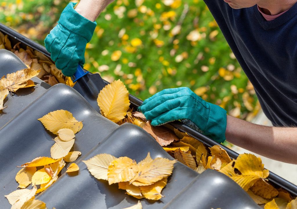limpieza; preparación; prevención