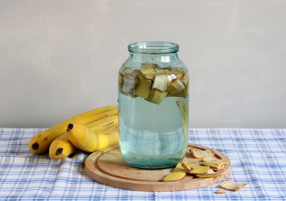 Bananenschalenwasser liefert Kalium und stärkt das Wachstum von Efeututen.
