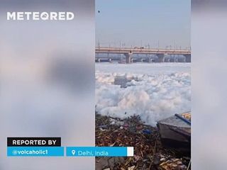 El río Yamuna aparece cubierto de una espuma tóxica en Delhi, India