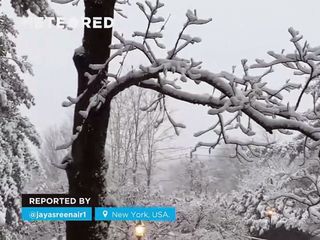 Ein heftiger Wintersturm bringt New York zum ersten Mal seit 701 Tagen erhebliche Schneefälle!