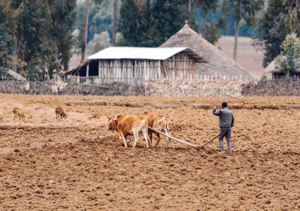 agricultura labranza suelo agricultura labranza suelo